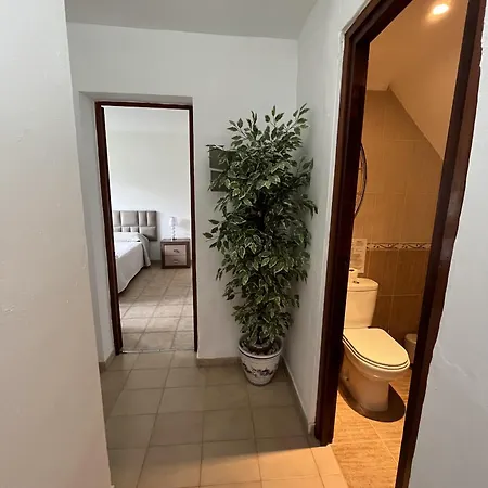 - Playa - 2 Con Amplio Jardin Al Lado Del Mar Ev1 *